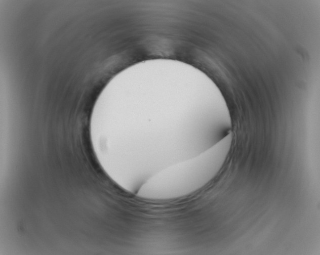 X0000113360229200910131307