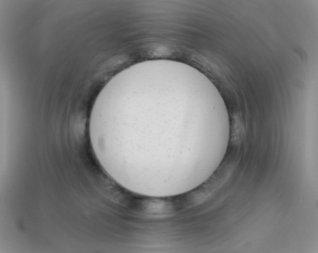 X0000113360230200910131307