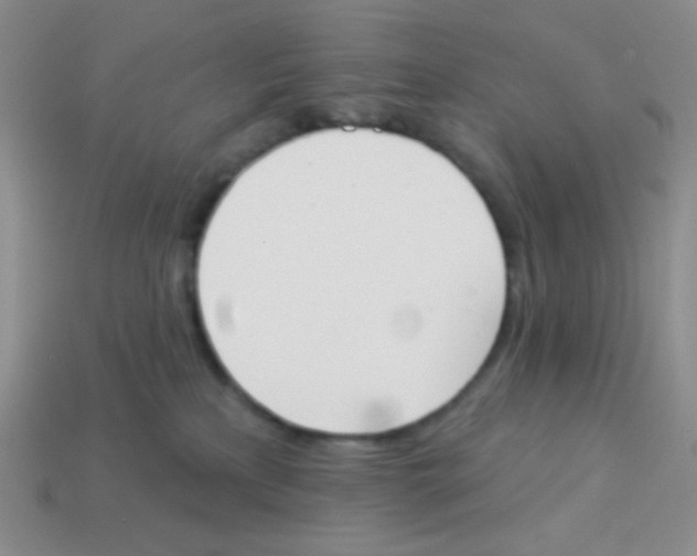 X0000113360233200910131307