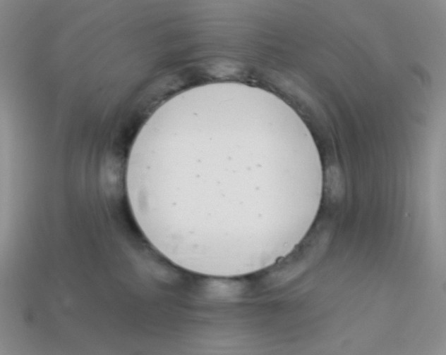 X0000113360234200910131307