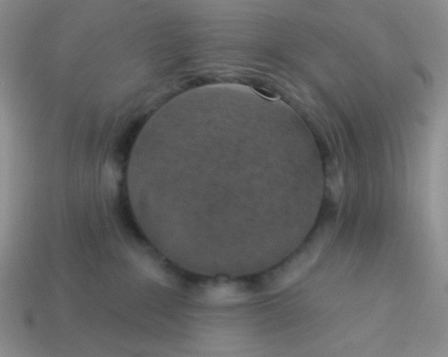 X0000113360235200910131307