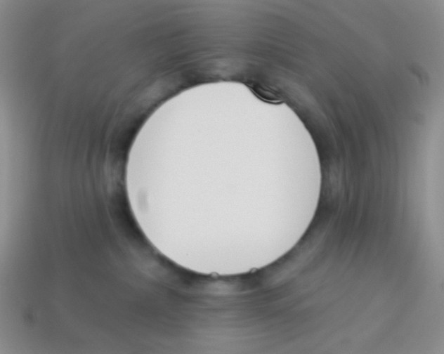 X0000113360236200910131307