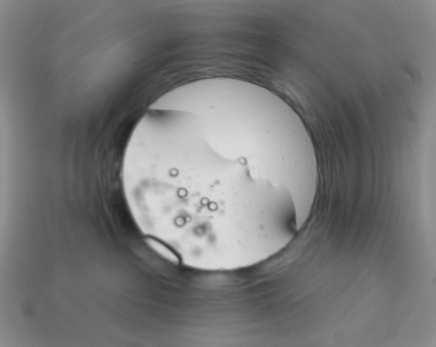 X0000113360237200910131307