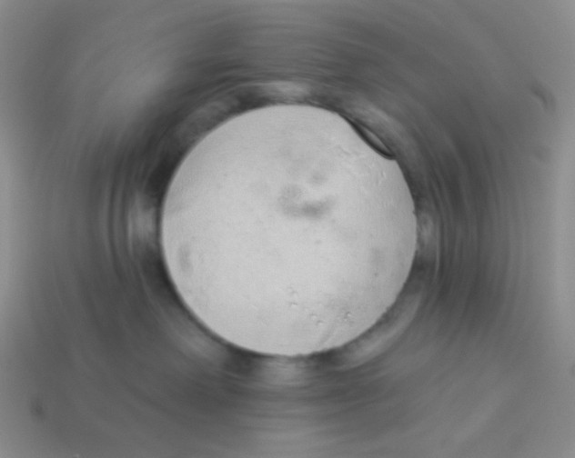 X0000113360238200910131307
