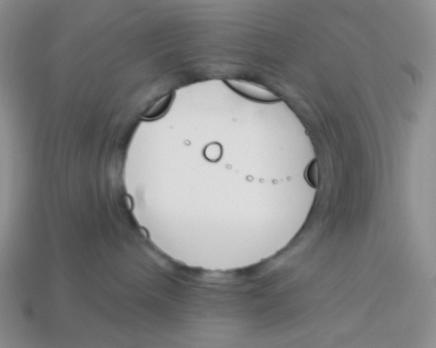 X0000113360240200910131307
