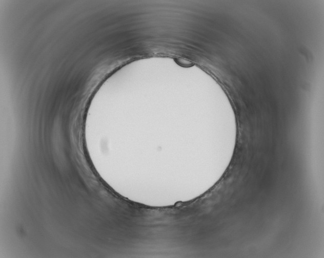 X0000113360241200910131306