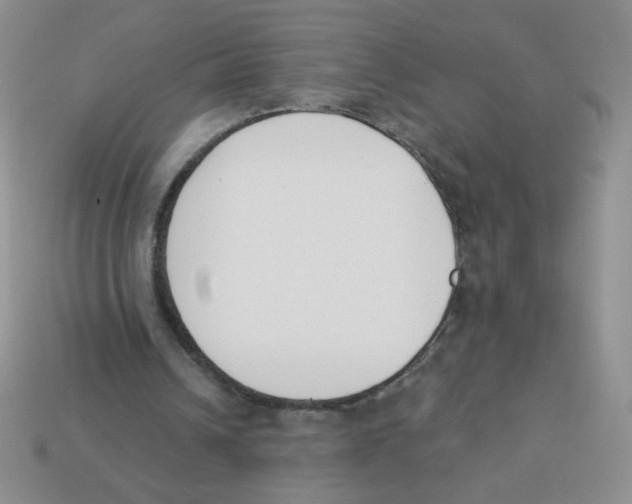 X0000113360242200910131306