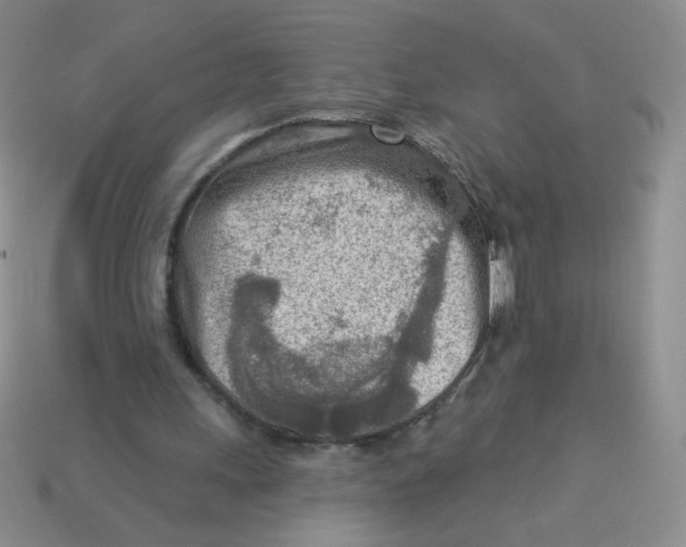 X0000113360243200910131306