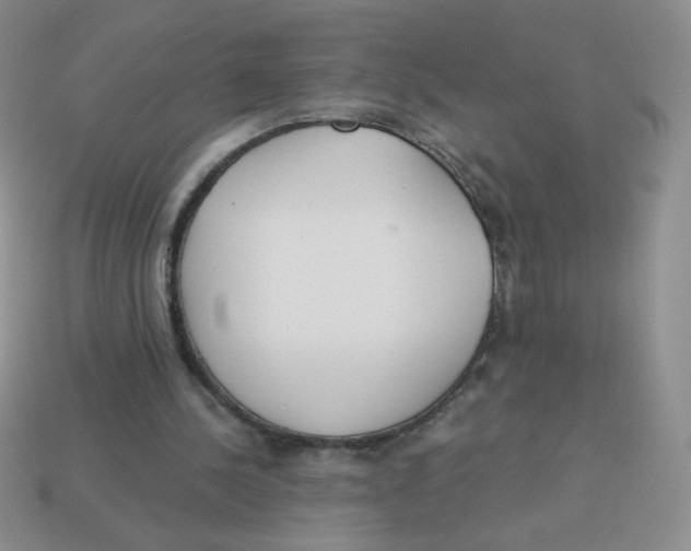 X0000113360244200910131306