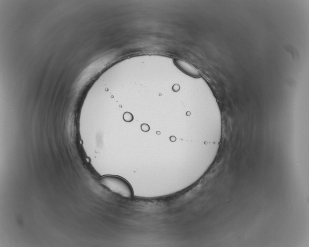 X0000113360245200910131306