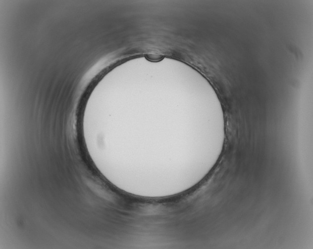 X0000113360246200910131306