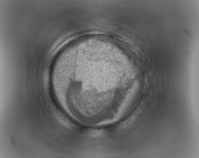 X0000113360247200910131306