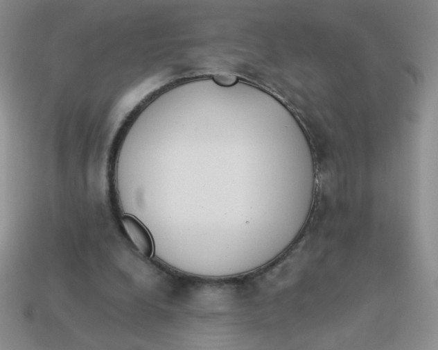 X0000113360248200910131306