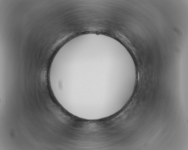 X0000113360249200910131306