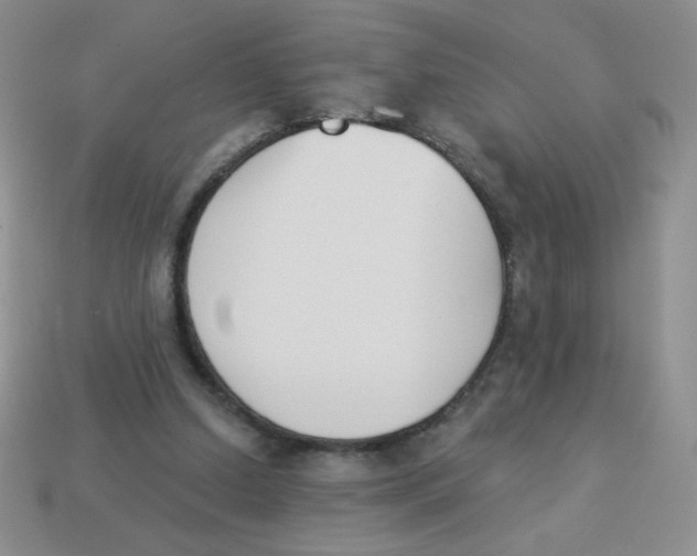 X0000113360250200910131306