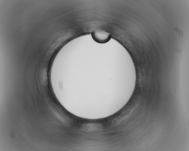 X0000113360251200910131306
