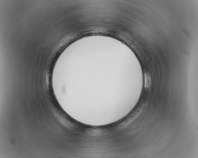 X0000113360253200910131306