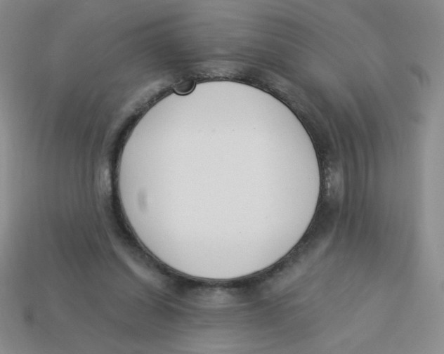 X0000113360254200910131306