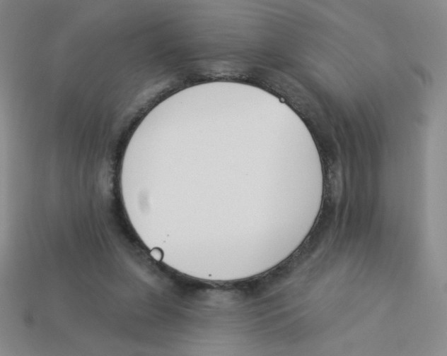 X0000113360255200910131306