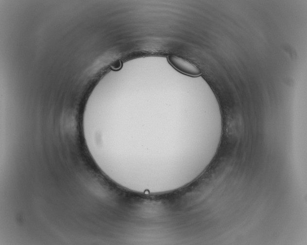X0000113360256200910131306