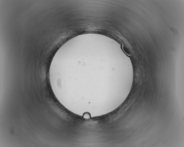 X0000113360257200910131306