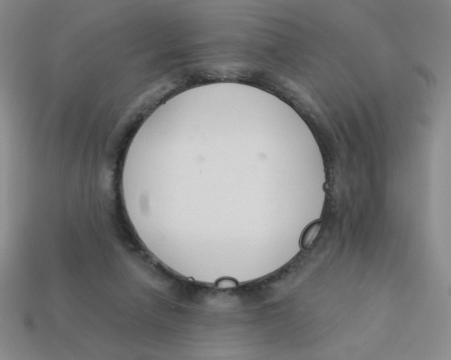 X0000113360258200910131306