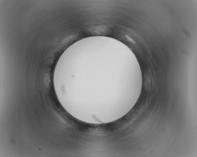 X0000113360259200910131306