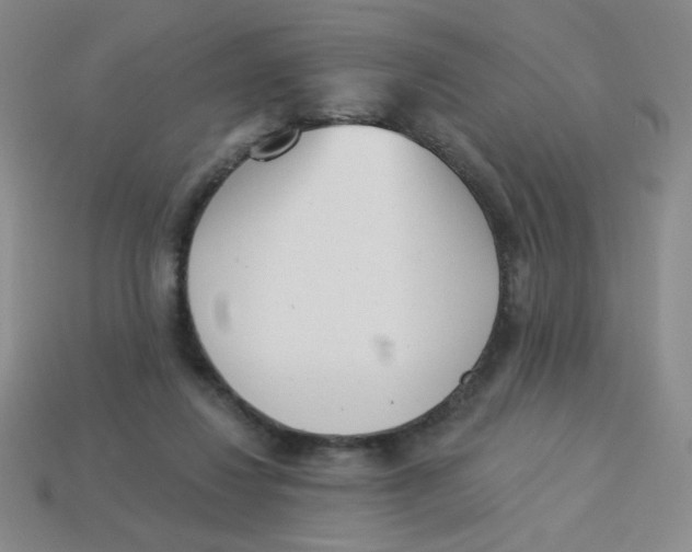 X0000113360260200910131306