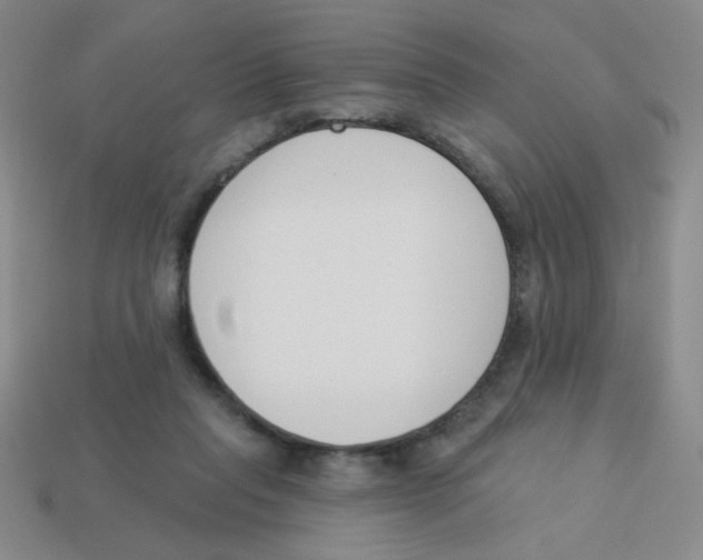X0000113360261200910131306