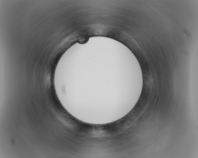 X0000113360262200910131306