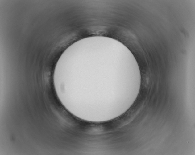 X0000113360263200910131306