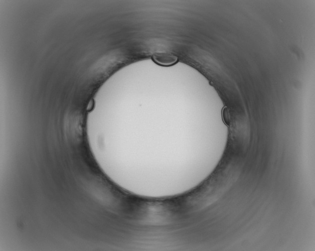 X0000113360264200910131306