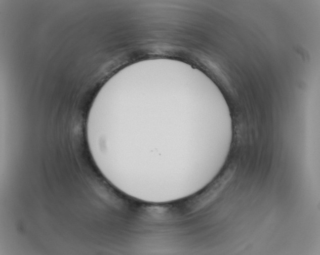 X0000113360265200910131306