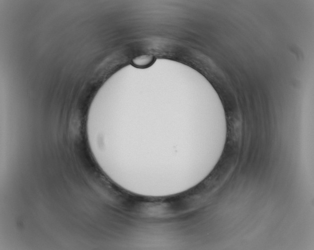 X0000113360266200910131306