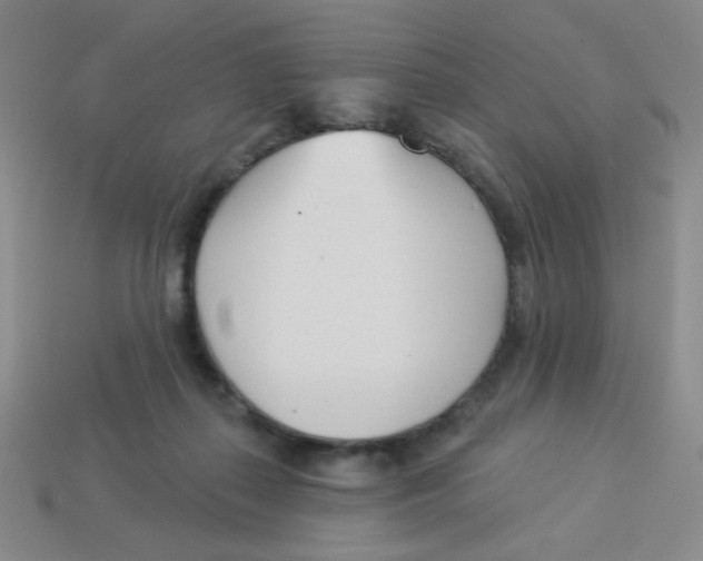 X0000113360267200910131306