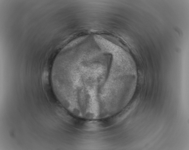 X0000113360269200910131306