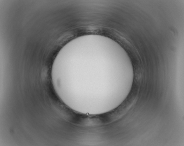 X0000113360270200910131306