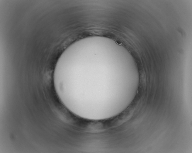 X0000113360271200910131306