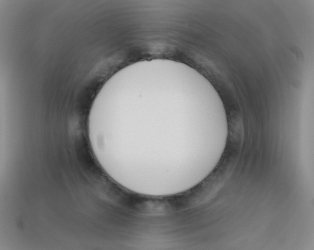 X0000113360272200910131306