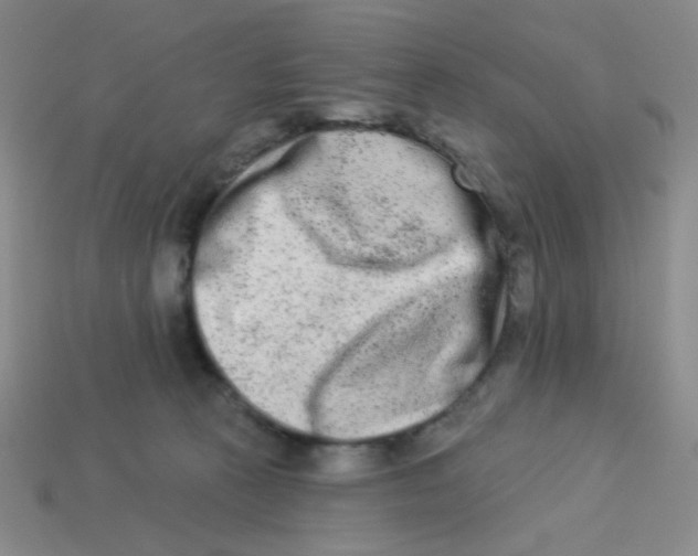 X0000113360273200910131306