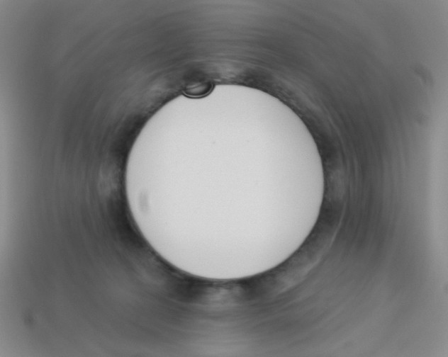 X0000113360274200910131306