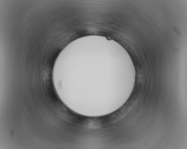 X0000113360275200910131306