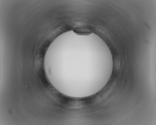 X0000113360276200910131306