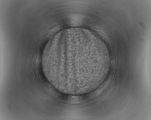 X0000113360277200910131306