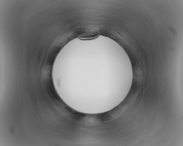 X0000113360280200910131306