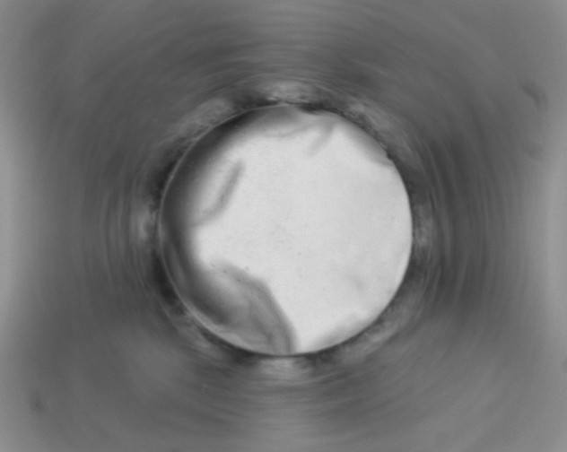 X0000113360281200910131306