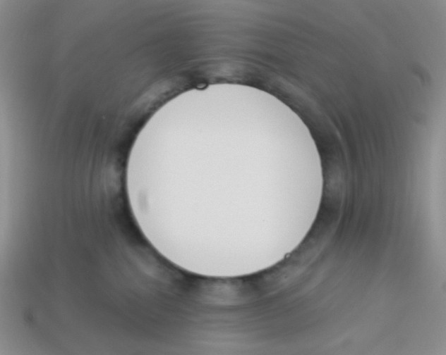 X0000113360282200910131306