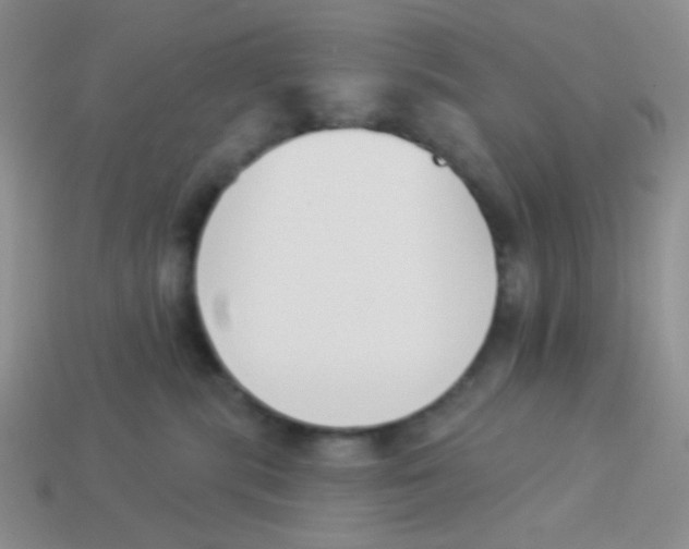 X0000113360283200910131306