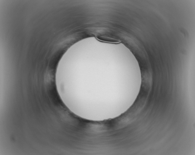 X0000113360284200910131306