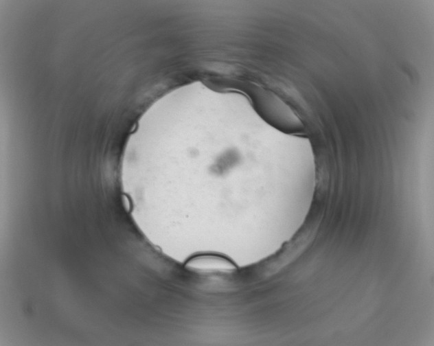 X0000113360285200910131306